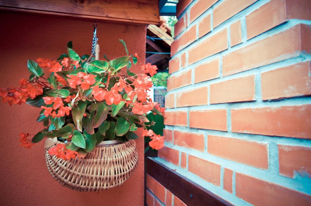 Hotel Garden House Matulji Exteriér fotografie